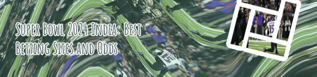 Baltimore ravens money line in India