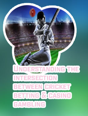 Cricket casino